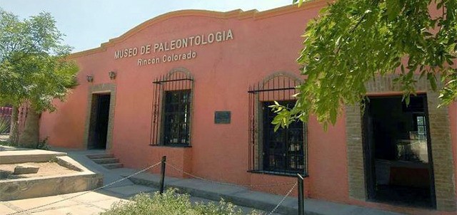 Museo Paleontológico de Rincón Colorado, Saltillo