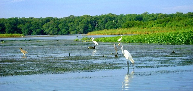 Laguna de Sontecomapan, Catemaco