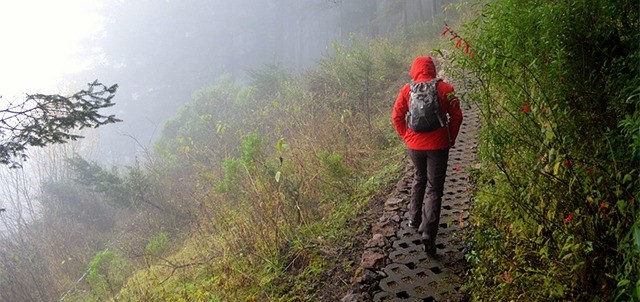 Parque Nacional El Chico, Mineral del Chico