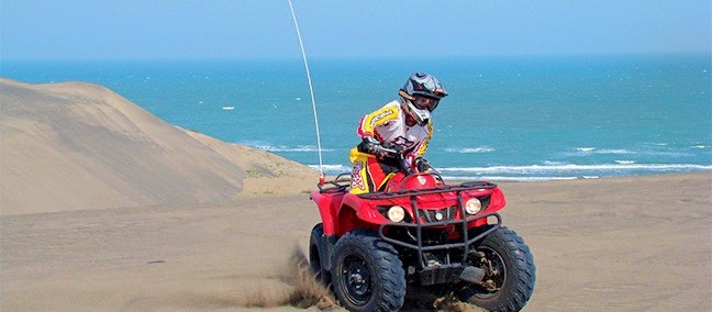 Las Dunas del Sabanal, Chachalacas