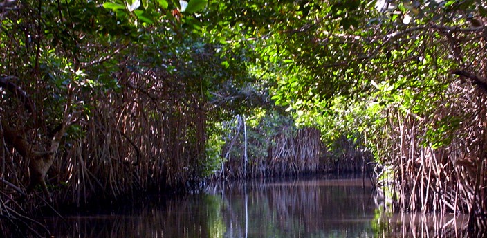 La Tovara, San Blas