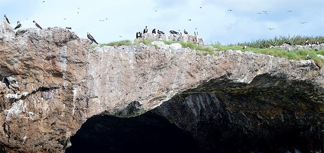 Islas Marietas, Punta de Mita