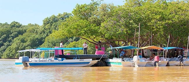 Reserva de la Biósfera Ría Celestún, Celestún