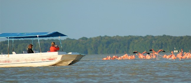 Reserva de la Biósfera Ría Celestún, Celestún