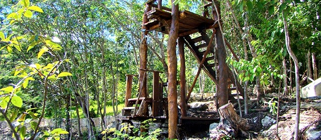 Cenote Las Mojarras, Puerto Morelos
