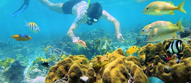 Parque Nacional Arrecifes de Puerto Morelos, Puerto Morelos
