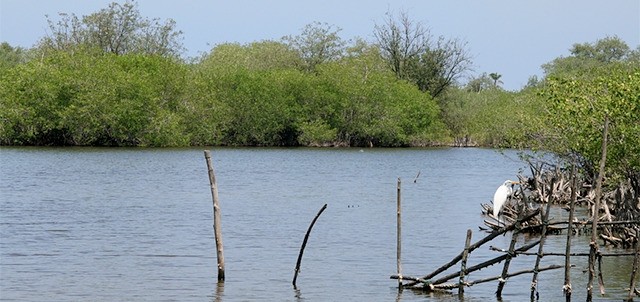 La Barra, Playa Ventura