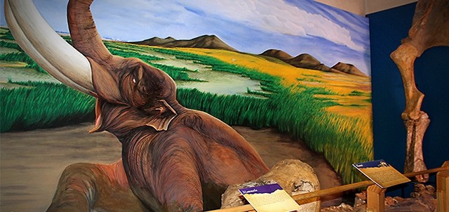 Museo Histórico Regional, Ensenada