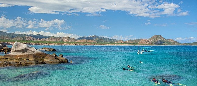 Tour de Buceo y Snorkel, Cabo Pulmo
