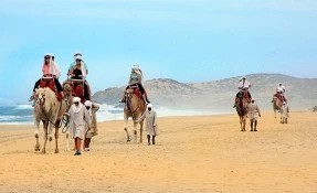 Outback & Camel Safari