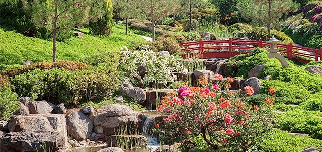 Jardines de México, Tequesquitengo