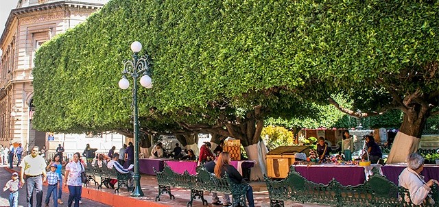 Jardín de la Unión, Guanajuato