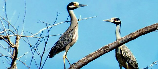 Senderos Sicaruu, Huatulco