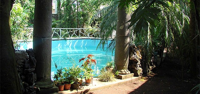 Museo Jardín de las Orquídeas, Coatepec