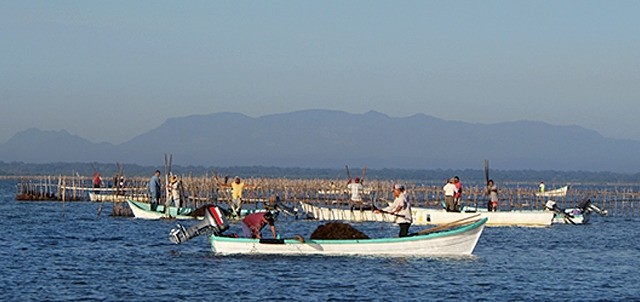 Tamiahua, Tuxpam