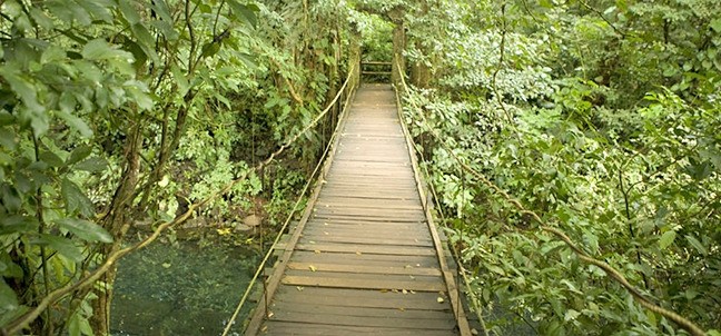 Reserva de la Biosfera de Los Tuxtlas, Los Tuxtlas