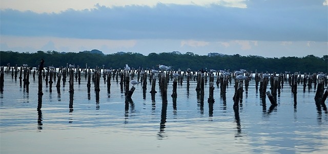 Laguna de Tamiahua, Tamiahua