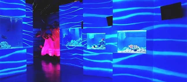 Acuario de Playa, Playa del Carmen