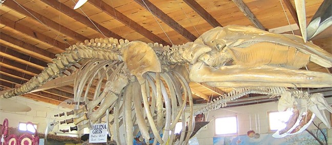Museo Naturaleza y Cultura, Bahía de los Angeles