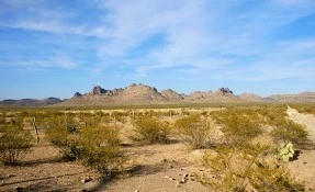 Biósfera Mapimí (Zona Del Silencio)