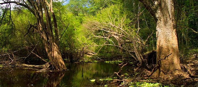 Reserva de la Biosfera de Calakmul, Xpujil