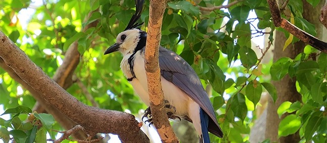 Parque Nacional Huatulco, Huatulco