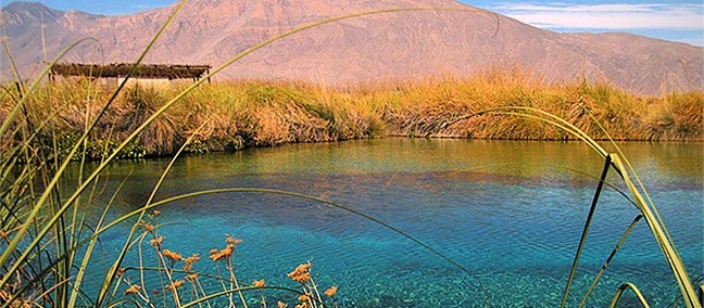 Poza Azul, Cuatro Ciénegas