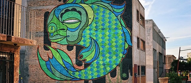 Pasaje del Arte, Mexicali