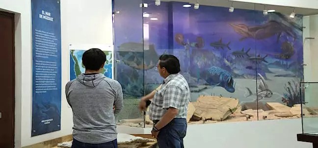 Museo de Paleontología, Múzquiz