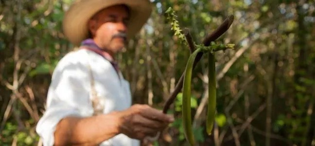Eco Park Xanath, Papantla