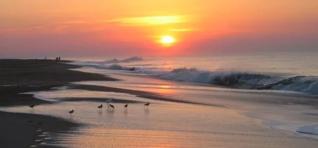 Playa de Michigan, Tecpan de Galeana
