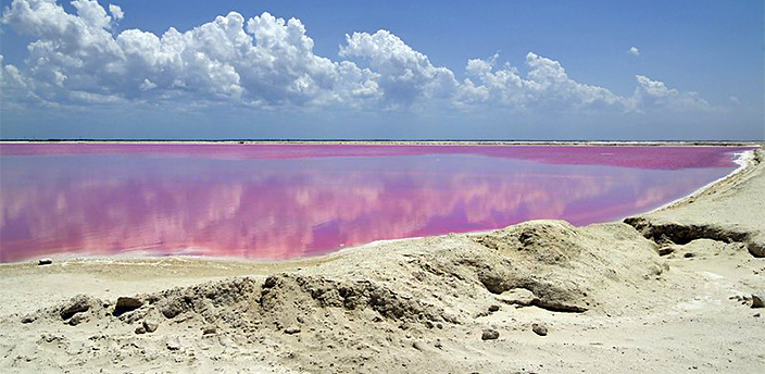 Las Coloradas, Tizimín