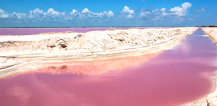 Las Coloradas, Tizimín