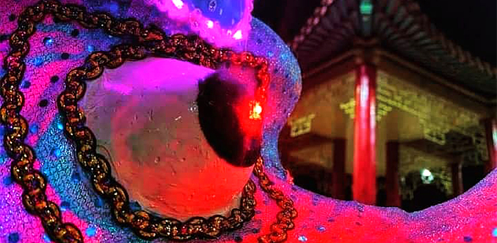 La Chinesca, Mexicali