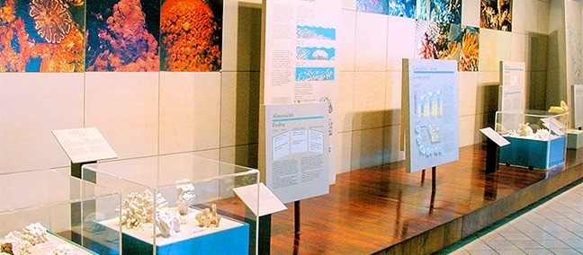 Museo de la Isla de Cozumel, Cozumel