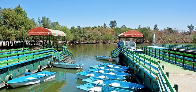 Parque Ernesto Millán Escalante, Culiacán
