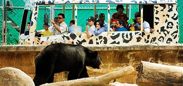 Zoológico Tamatán, Ciudad Victoria