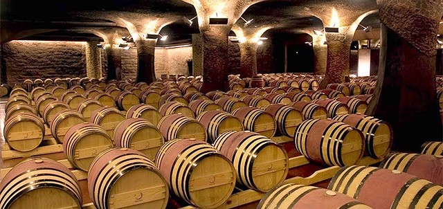 Finca Sala Vivé by Freixenet México, Ezequiel Montes