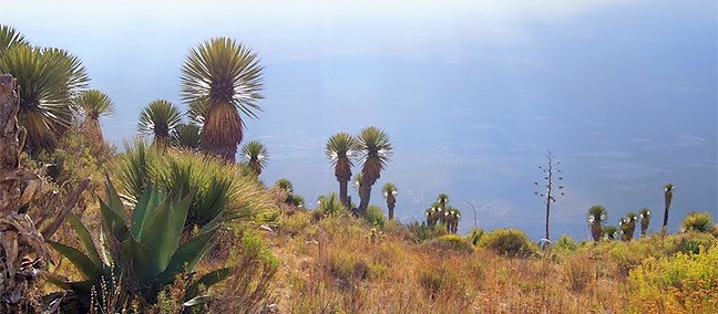 Cerro del Quemado, Real de Catorce