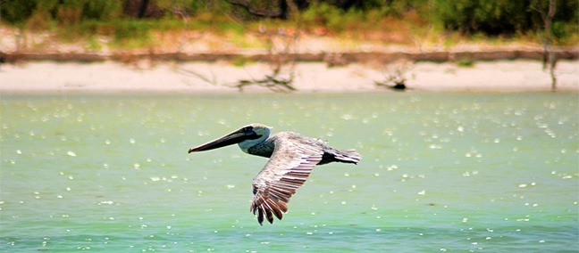Parque Estatal Lagunas de Yalahau, Holbox
