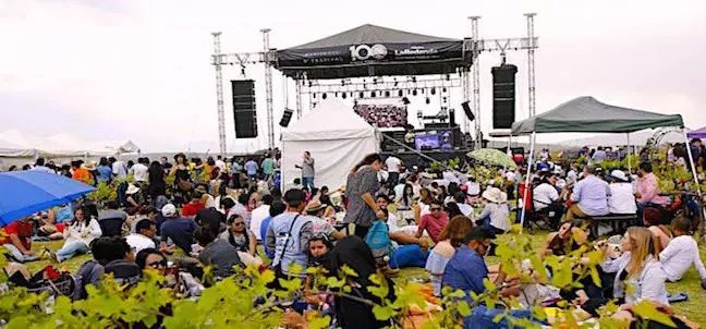 Festival 100 Vinos Mexicanos, Ezequiel Montes