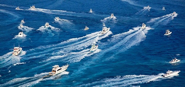 Cozumel International Billfish Release Tournament , Cozumel