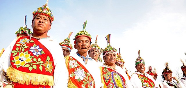 Cumbre Tajín, Papantla