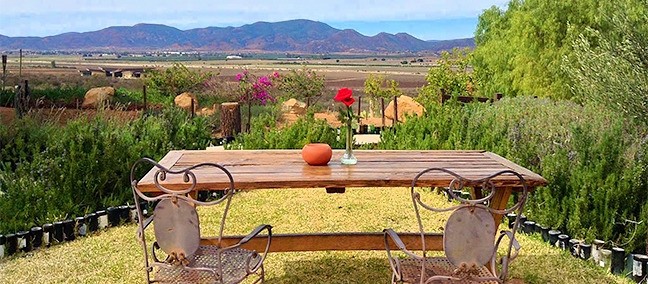 Hacienda Guadalupe, Valle de Guadalupe