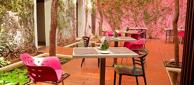 Rosas and Xocolate, Mérida