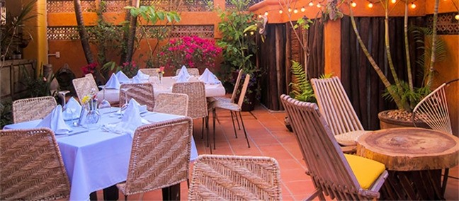 Bistro Orgánico