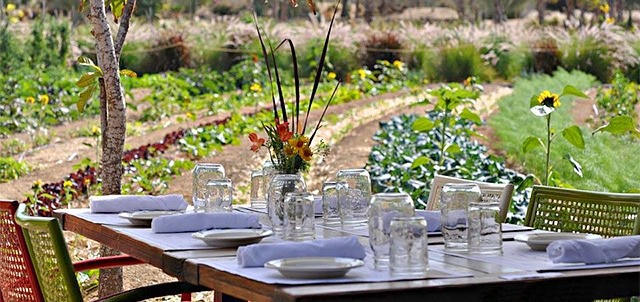 Floras Field Kitchen, Los Cabos