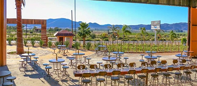 Bodegas del Valle, Valle de Guadalupe