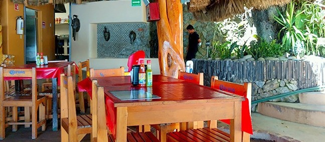 Pineda, Rincón de Guayabitos