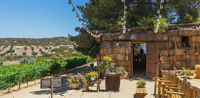 Deckman's en el Mogor, Valle de Guadalupe